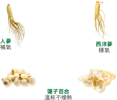 人蔘,西洋蔘,蓮子,百合
