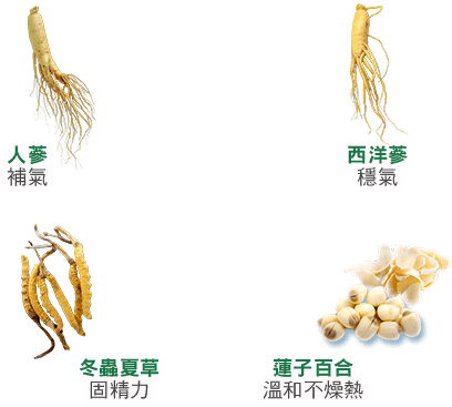 人蔘,西洋蔘,冬蟲夏草,蓮子百合