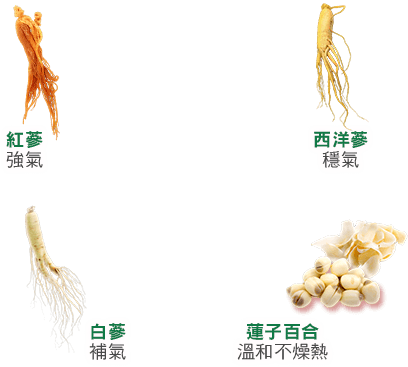 紅蔘,西洋蔘,白蔘,蓮子百合