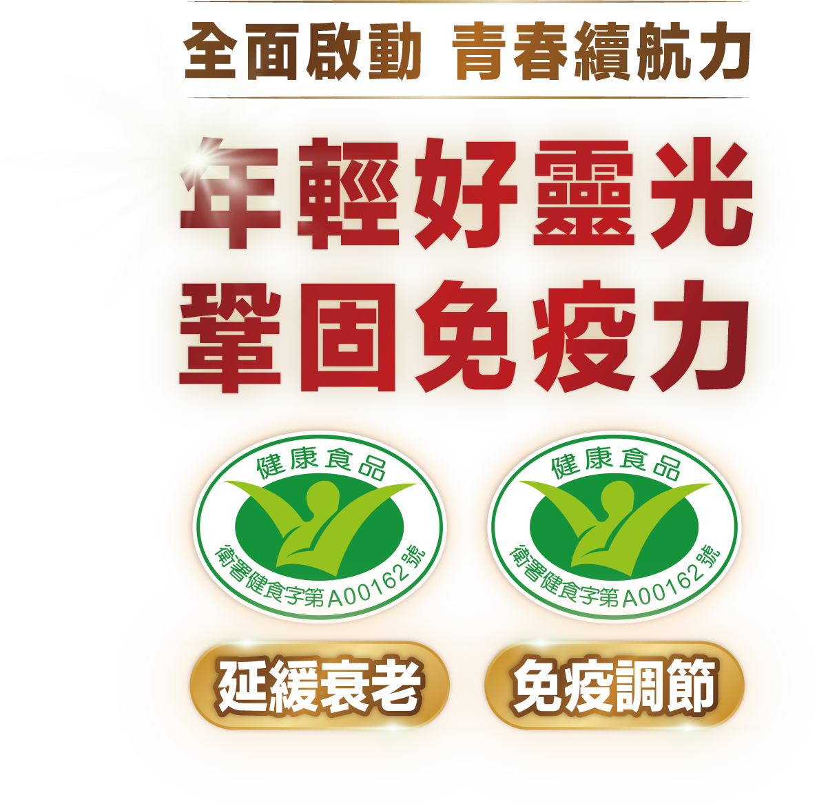 全面啟動 青春續航力 年輕好靈光 鞏固免疫力 延緩衰老 免疫調節